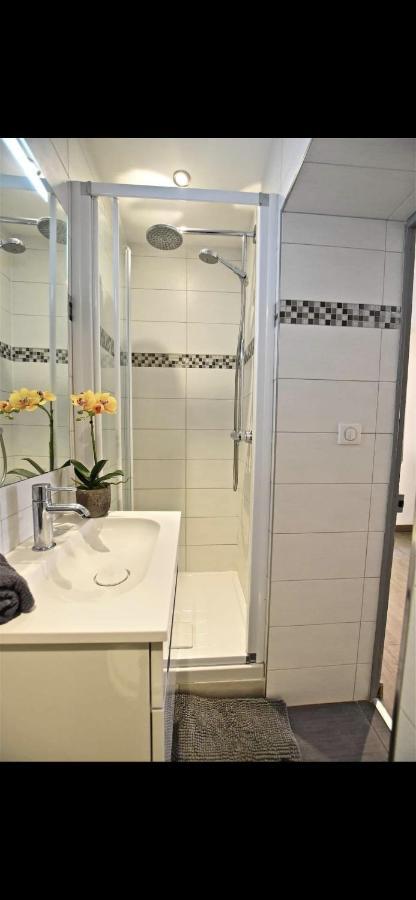Апартаменты Superbe 2P Mezzanine Au Coeur Du Vieil Антиб Экстерьер фото